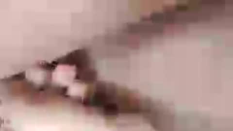negrett_ online show from June 1, 2026, 5:03 pm
