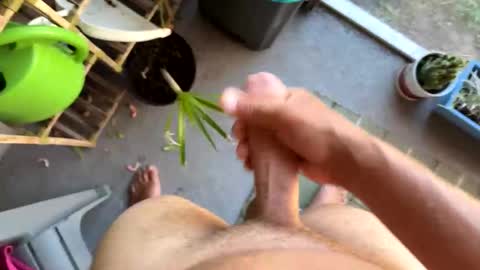 Snapshot of nellyd332169 chatting on January 7, 2026, 7:16 pm nellyd332169 online show from January 7, 2026, 7:16 pm