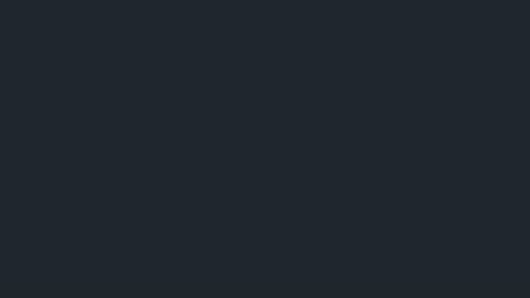 Rin online show from August 5, 2026, 11:13 am