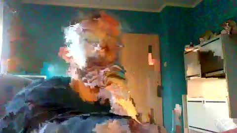 Mark online show from February 8, 2025, 7:48 am