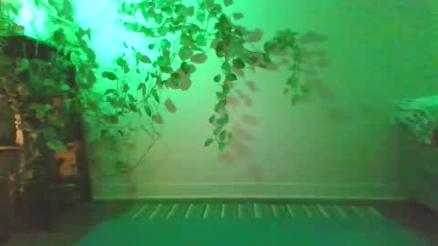 Snapshot of new__moon chatting on December 27, 2024, 10:48 pm luna online show from December 27, 2024, 10:48 pm