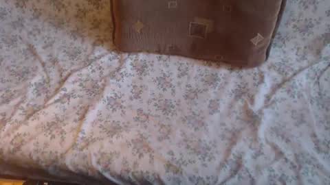 Lilly  online show from February 10, 2025, 12:08 pm