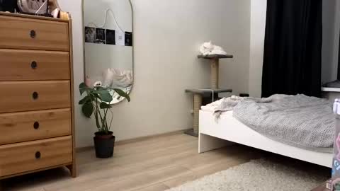 Snapshot of newproject_ chatting on November 11, 2025, 4:18 pm Nova online show from November 11, 2025, 4:18 pm