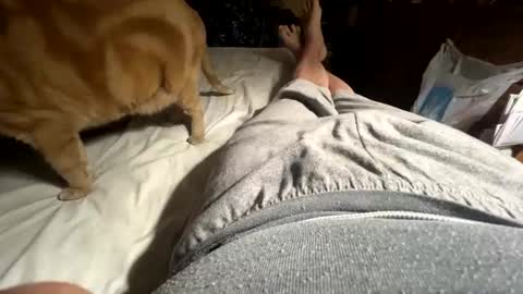 ngianop online show from April 12, 2026, 9:25 am