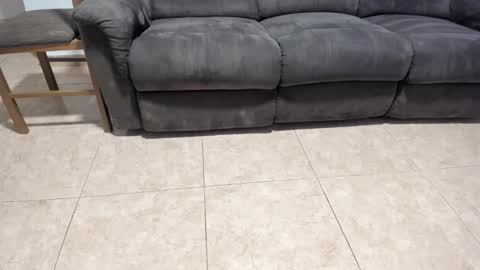 Snapshot of nicebrown chatting on February 11, 2025, 5:29 pm Sfora online show from February 11, 2025, 5:29 pm