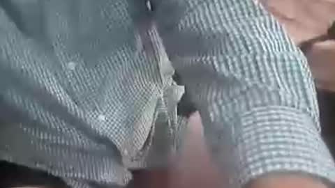 TheCock online show from August 6, 2026, 2:02 am