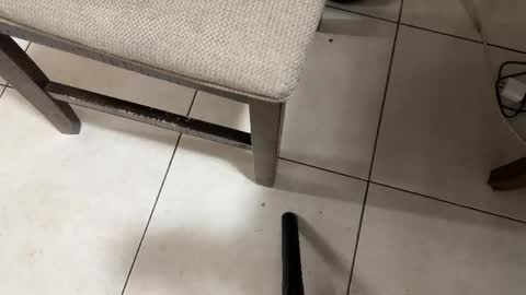 Carlos Nico online show from February 28, 2026, 8:26 am