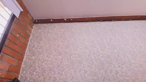 Nicol online show from November 4, 2025, 7:35 pm