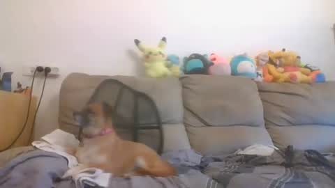 Snapshot of nikeair305 chatting on October 16, 2025, 6:36 am Brian and Logan Brogan online show from October 16, 2025, 6:36 am