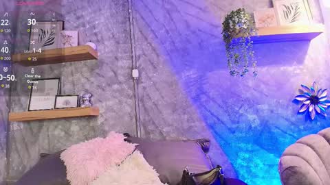    online show from February 2, 2026, 7:12 pm