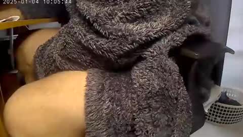 Snapshot of nineinchhard chatting on January 4, 2025, 10:05 am nineinchhard online show from January 4, 2025, 10:05 am