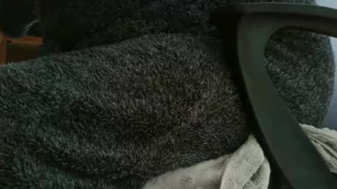 Snapshot of nineinchhard chatting on October 12, 2025, 11:09 am nineinchhard online show from October 12, 2025, 11:09 am