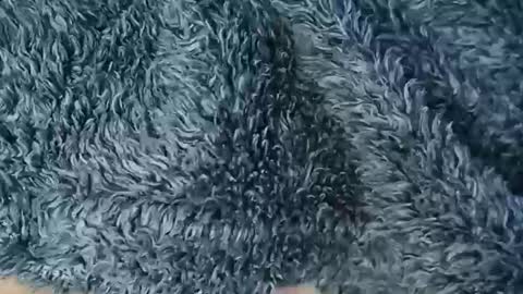 nineinchhard online show from February 19, 2026, 10:55 am