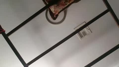 Snapshot of nipplechaser chatting on January 18, 2025, 5:37 pm nipplechaser online show from January 18, 2025, 5:37 pm