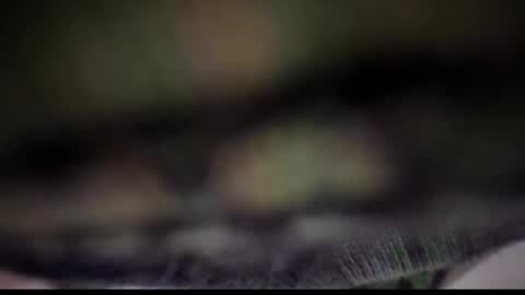 Snapshot of nloraaa chatting on February 25, 2025, 5:08 am Tears Lora online show from February 25, 2025, 5:08 am