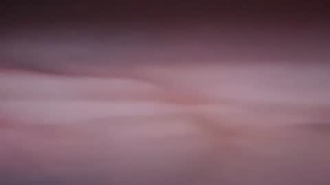 nne931 online show from July 8, 2026, 12:48 am