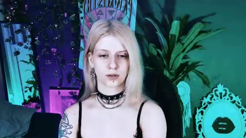Snapshot of noah_elmer chatting on July 11, 2026, 1:25 pm REAL name LiaDM are always open online show from July 11, 2026, 1:25 pm