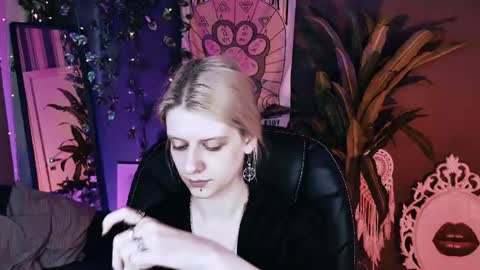 Snapshot of noah_elmer chatting on August 6, 2026, 2:30 pm REAL name LiaDM are always open online show from August 6, 2026, 2:30 pm