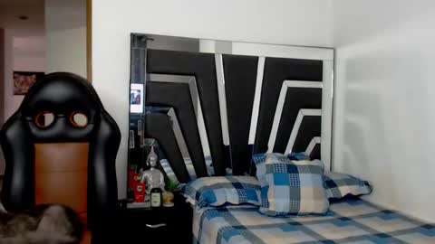 Noah Harris01 online show from February 24, 2026, 12:03 pm