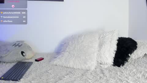 Snapshot of noah_lambert chatting on January 20, 2025, 3:26 am Noah online show from January 20, 2025, 3:26 am