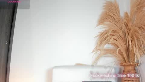 Noami Rose  online show from November 29, 2025, 2:36 am