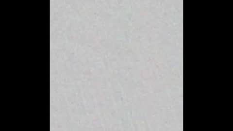 Snapshot of noemie_fox chatting on January 11, 2026, 2:05 am Nomie Fox online show from January 11, 2026, 2:05 am