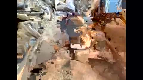 Snapshot of nolplus chatting on March 7, 2025, 7:19 am nolplus online show from March 7, 2025, 7:19 am