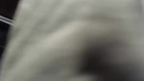 nombah_ online show from December 16, 2025, 1:21 am