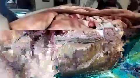 Snapshot of nooby942461 chatting on March 1, 2025, 10:31 pm sim nib online show from March 1, 2025, 10:31 pm