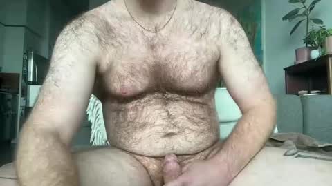 No Plan online show from November 29, 2025, 5:49 pm