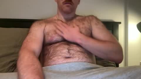 No Plan online show from December 2, 2025, 1:33 am