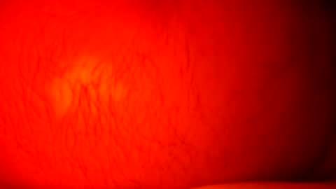 Snapshot of norbitomii chatting on September 24, 2025, 10:57 pm norbitomii online show from September 24, 2025, 10:57 pm