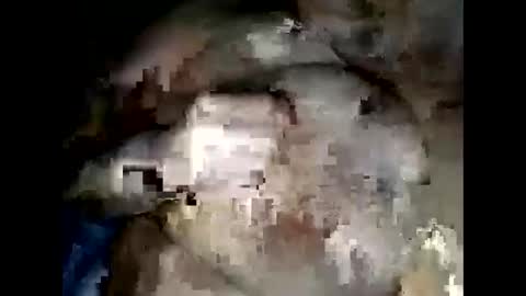 normajeen77777 online show from April 14, 2026, 7:47 am