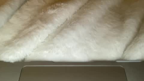 noscandal online show from December 21, 2025, 5:03 am