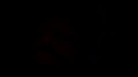 notgeko online show from January 16, 2026, 8:29 am