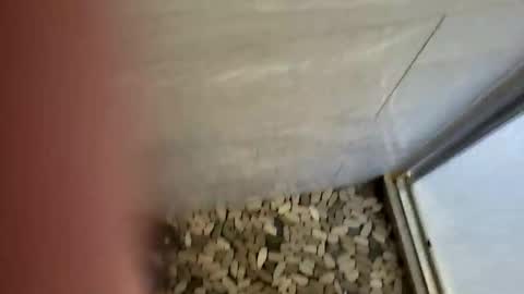 notme710 online show from December 22, 2025, 5:32 pm