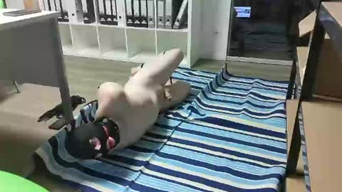 Snapshot of numlove chatting on February 18, 2025, 11:33 am Slave for Mistress and Master online show from February 18, 2025, 11:33 am