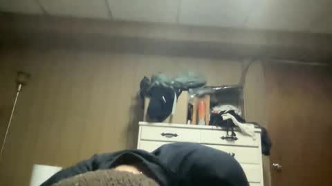 harvestmoon online show from March 22, 2026, 5:55 am