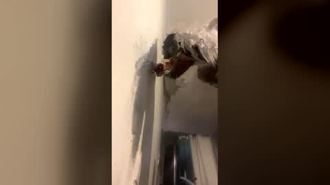 Kira online show from December 14, 2025, 9:03 am