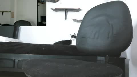 Snapshot of oezack__ chatting on May 13, 2026, 3:48 am Zack online show from May 13, 2026, 3:48 am