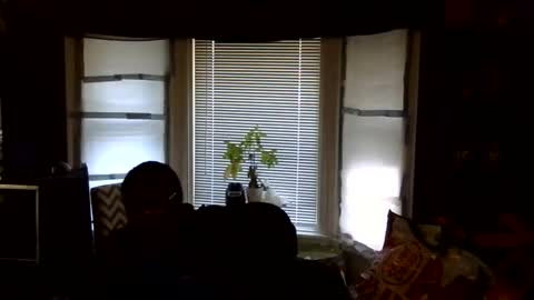 Snapshot of oflores77 chatting on February 16, 2026, 3:08 pm oscar flores online show from February 16, 2026, 3:08 pm