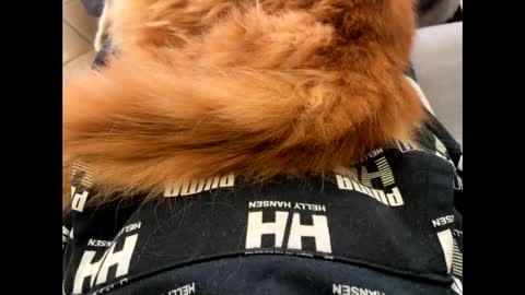 Snapshot of oggs48 chatting on November 1, 2025, 1:46 pm oggs48 online show from November 1, 2025, 1:46 pm