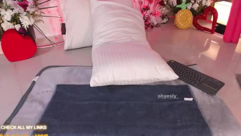 Snapshot of ohyesly_ chatting on February 20, 2026, 10:16 am ohyesly_ online show from February 20, 2026, 10:16 am