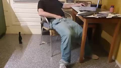 Snapshot of oldersagger chatting on January 17, 2025, 7:05 pm oldersagger online show from January 17, 2025, 7:05 pm