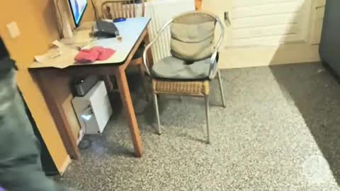 oldersagger online show from December 5, 2025, 5:09 pm