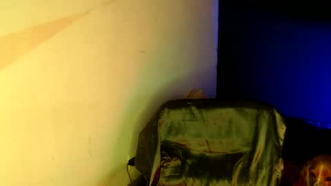 oliver_laid_2023 online show from January 18, 2025, 5:48 pm