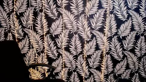 Kelly online show from April 7, 2026, 10:37 am