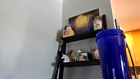 Snapshot of omgitsdon chatting on July 28, 2026, 4:16 pm M4STERD0N - SC online show from July 28, 2026, 4:16 pm