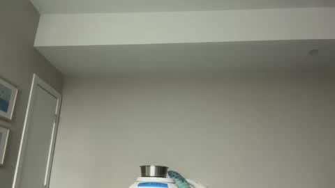 Horny and Bicurious online show from April 7, 2026, 3:18 am