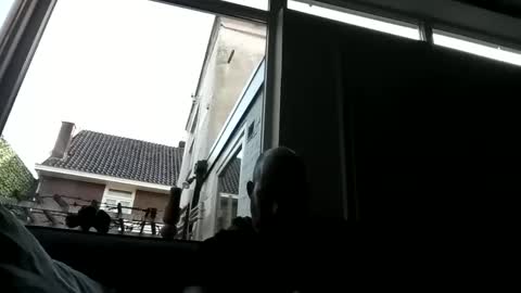 Openminded online show from December 23, 2024, 9:38 am